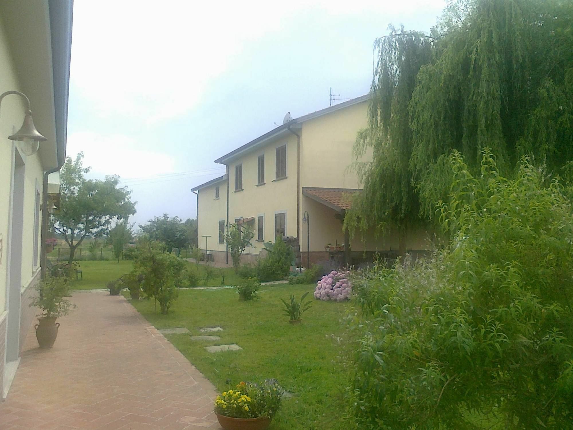 אשאה Agriturismo Terra Di Elea Azienda Agricola Di Raimondo Michela מראה חיצוני תמונה
